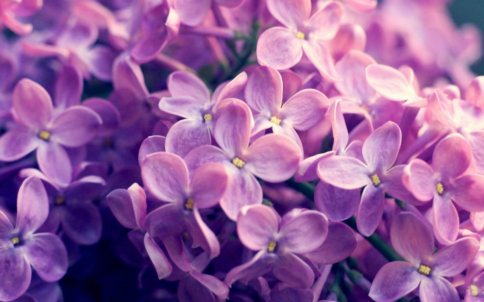 国家男篮增加国际热身赛磨合阵容与战术，男篮热身赛数据统计