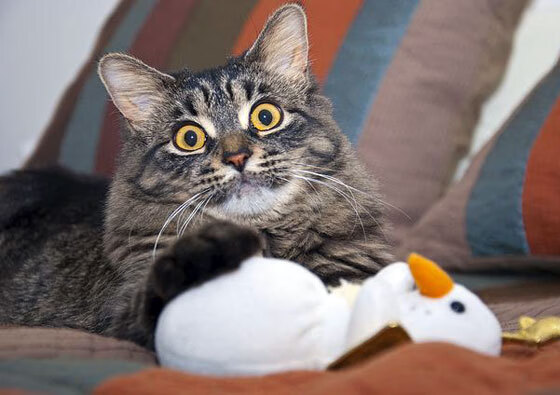 小组赛表现超预期，多人刷新个人最佳，2021小组赛规则