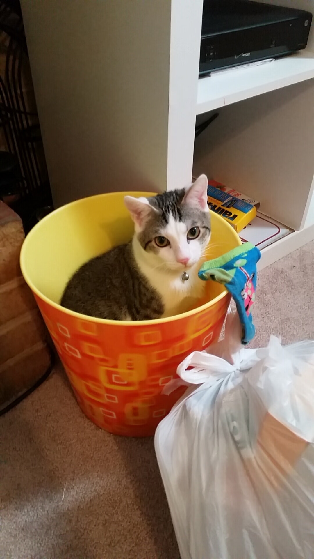 开云注册-世界女足俱乐部排名更新，亚洲球队跃升，世界女足排面