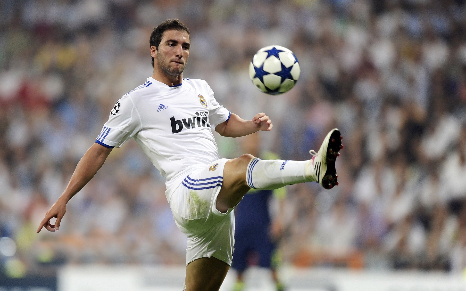 中国足球协会制定青少年培训标准，中国足协青少年培训注册规定